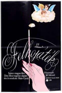 Passing Fancy (1983)