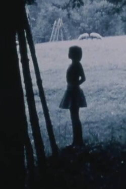 Passing Through/Torn Formations (1988)
