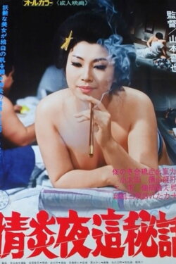Passionate Night Visit Secret Story (1975) Passionate Night Visit Secret Story (1975)