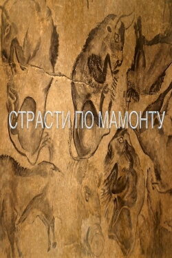 Passions For The Mammoth (2019) Passions For The Mammoth (2019)