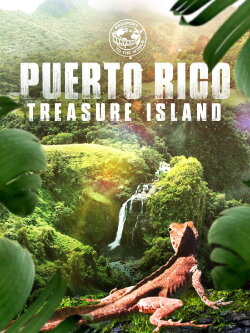 Passport To The World: Puerto Rico (2019) Passport To The World: Puerto Rico (2019)