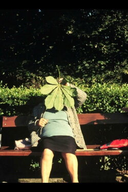 Past Perfect (2002)