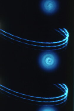 Pasteur³ (1976)