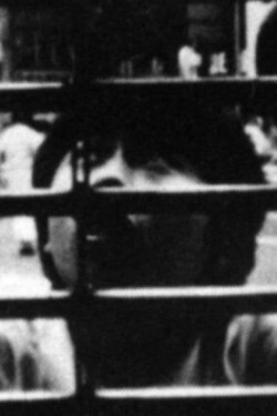 PATHOS SCATTERS IN ILLUSION (1982)