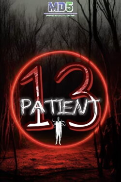 PATIENT 13 (2025) PATIENT 13 (2025)