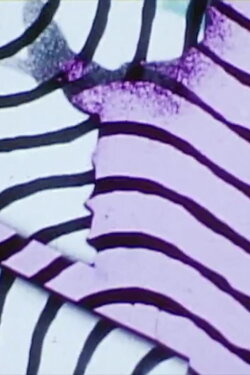 Pattern Impulse (1979)