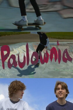 Paulownia (2019) Paulownia (2019)