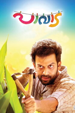 Pavada (2016) Pavada (2016)