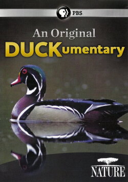 PBS Nature - An Original DUCKumentary (2012)