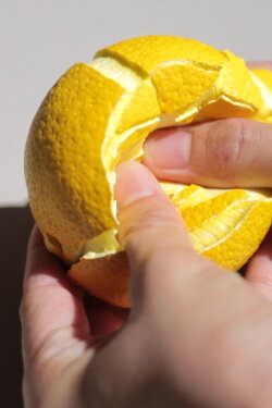 Peace | Lemon (2020) Peace | Lemon (2020)