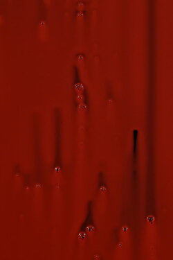 Peacock Hole (2018)