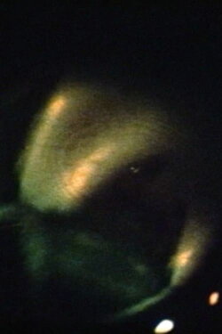 Pearl in Hades (1988) Pearl in Hades (1988)