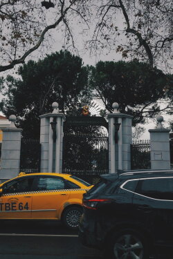 Pearl of the Bosphorus  : The Birth of a University (2015)