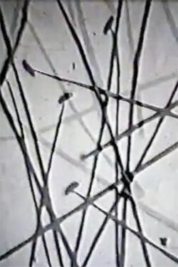 Peau d'oignon (2002) Peau d'oignon (2002)