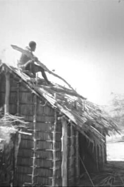 Pêche, bétail, tortues, coiffure chez les Vezo de Madagascar (1967) Pêche, bétail, tortues, coiffure chez les Vezo de Madagascar (1967)