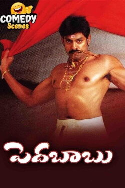 Pedababu (2004) Pedababu (2004)