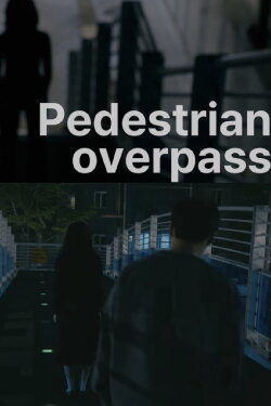 Pedestrian overpass (2023) Pedestrian overpass (2023)