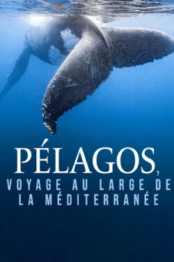 Pélagos, voyage au large de la Méditerranée (2023) Pélagos, voyage au large de la Méditerranée (2023)