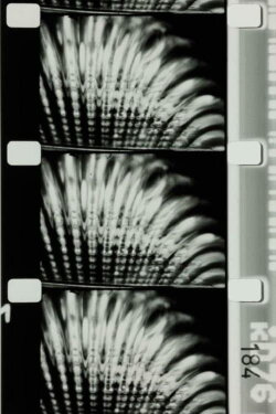 Pénélope (1954) Pénélope (1954)