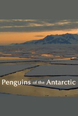 Penguins of the Antarctic (2006)