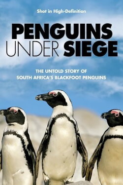 Penguins Under Siege (2004) Penguins Under Siege (2004)