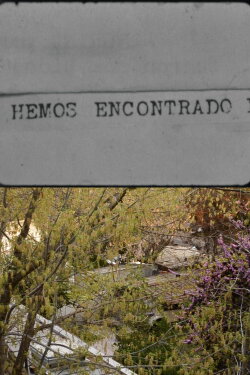 Pensaba que te habías olvidado de escribirme (2023) Pensaba que te habías olvidado de escribirme (2023)