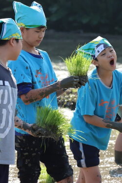 People in the Field (2022) People in the Field (2022)