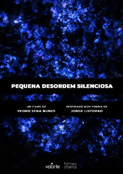 Pequena Desordem Silenciosa (2021)