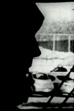 Perceptual Subjectivity (2009) Perceptual Subjectivity (2009)