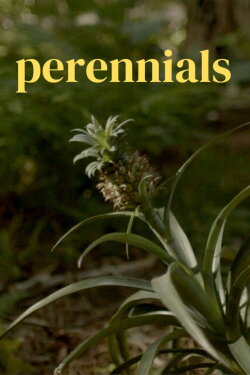 perennials (2022)
