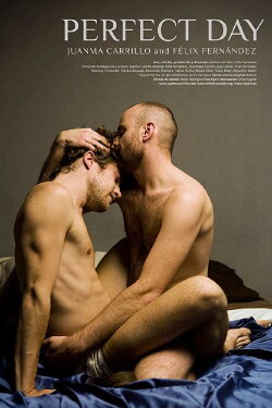 Perfect Day (2010)