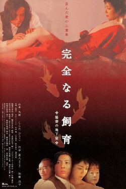 Perfect Education 4: Secret Basement (2003) Perfect Education 4: Secret Basement (2003)