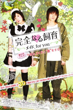 Perfect Education: A Maid for You (2010) Perfect Education: A Maid for You (2010)