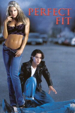 Perfect Fit (2000) Perfect Fit (2000)