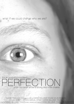 PERFECTION (2018)