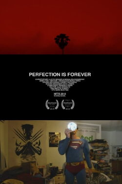 Perfection Is Forever (2015) Perfection Is Forever (2015)
