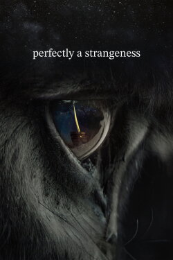 perfectly a strangeness (2024) perfectly a strangeness (2024)