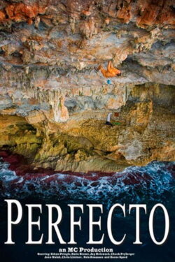 Perfecto (2008)