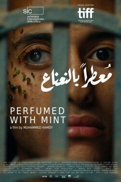 Perfumed with Mint (2024) Perfumed with Mint (2024)