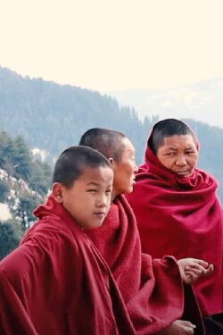 Period: A State of Purity (2020) Period: A State of Purity (2020)