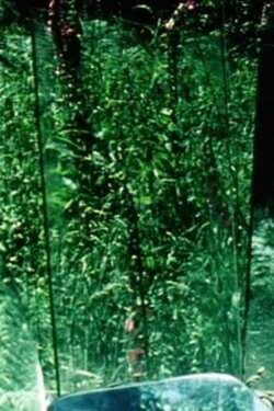 Peripeteia II (1978) Peripeteia II (1978)