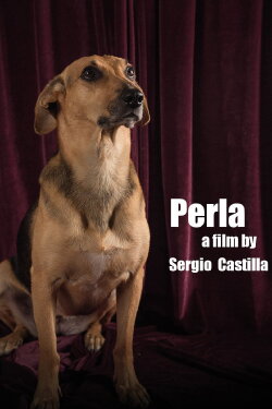 Perla (2015) Perla (2015)