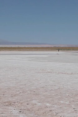 Persistent Disturbance (2019) Persistent Disturbance (2019)