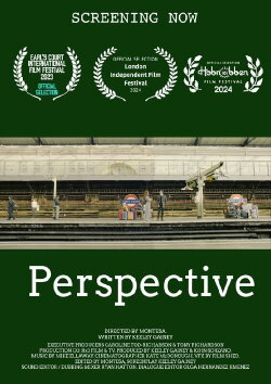 Perspective (2023)