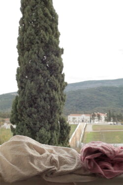 Pesar (2017) Pesar (2017)