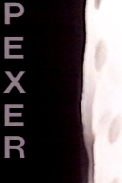 Pexer (1987) Pexer (1987)