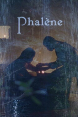 Phalène (2023) Phalène (2023)