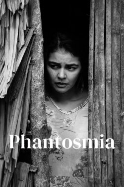 Phantosmia (2025)