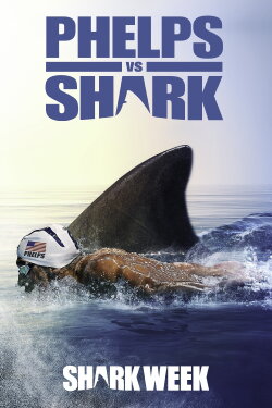 Phelps vs Shark (2017)
