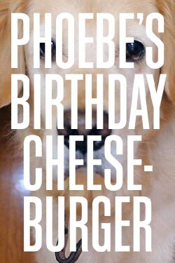 Phoebe's Birthday Cheeseburger (2014)